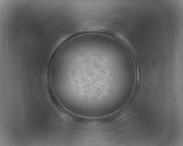 X0000062600483200601040917