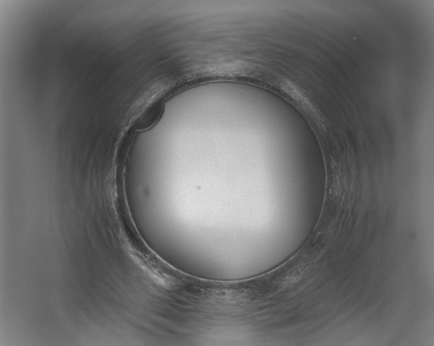 X0000062600486200601040917