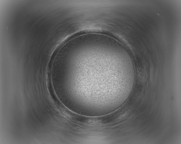 X0000062600487200601040917
