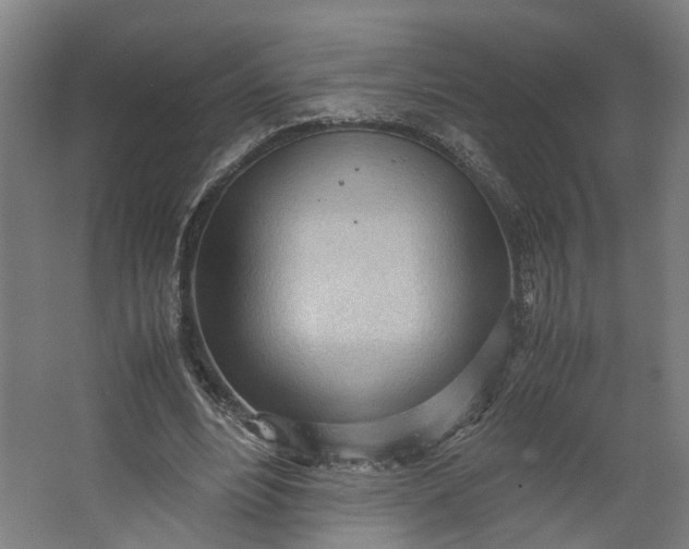 X0000062600488200601040917