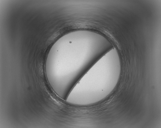 X0000062600489200601040917