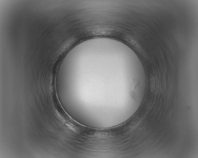 X0000062600490200601040917