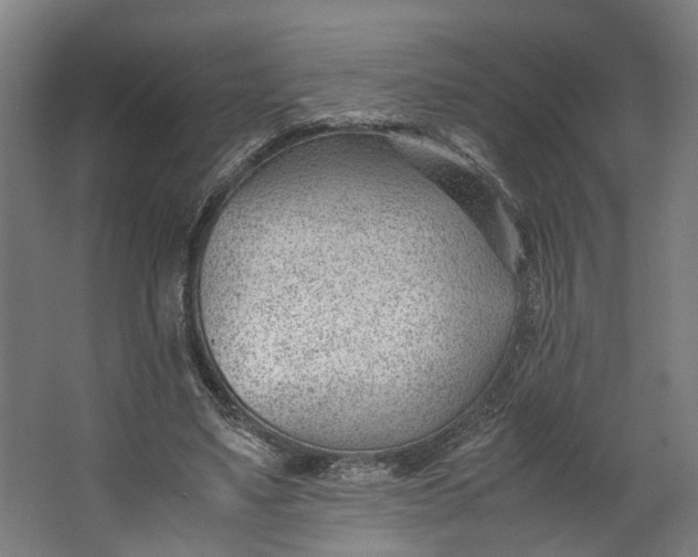 X0000062600491200601040917