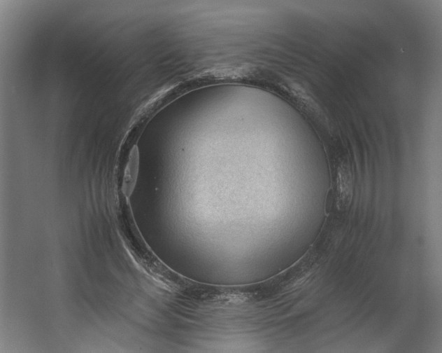 X0000062600492200601040917