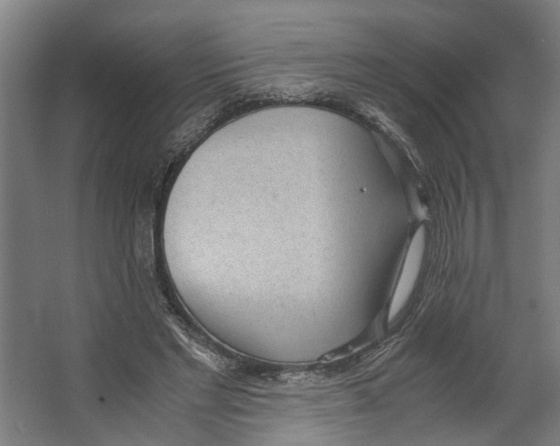 X0000062600493200601040917