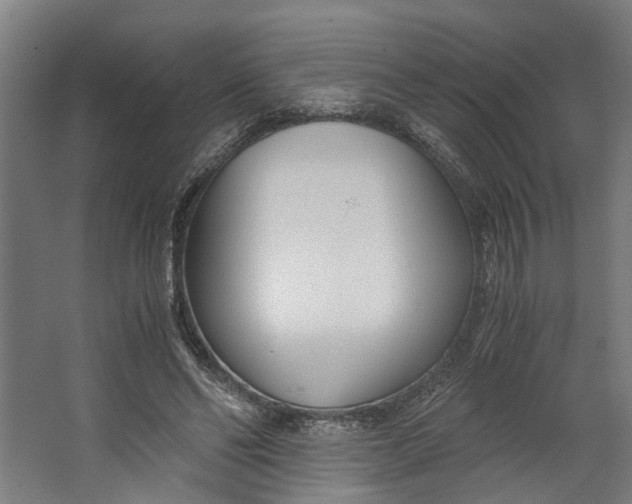 X0000062600494200601040917