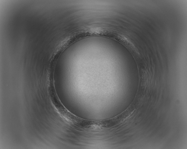X0000062600496200601040917