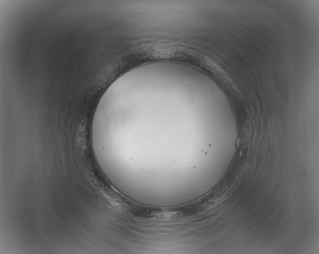 X0000062600497200601040917