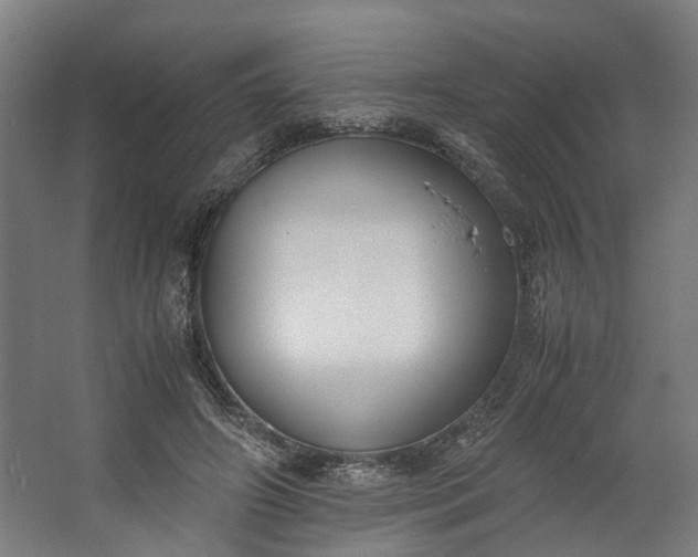X0000062600498200601040917