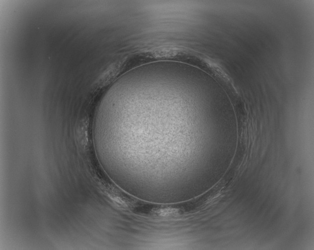 X0000062600501200601040917