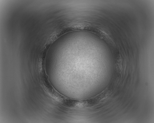 X0000062600504200601040917