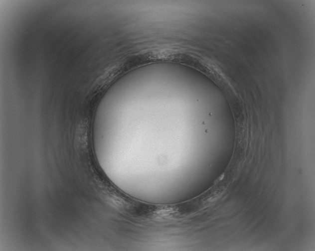 X0000062600505200601040917