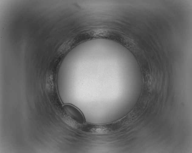 X0000062600506200601040917