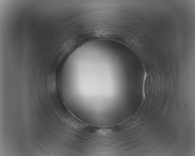 X0000062600508200601040917