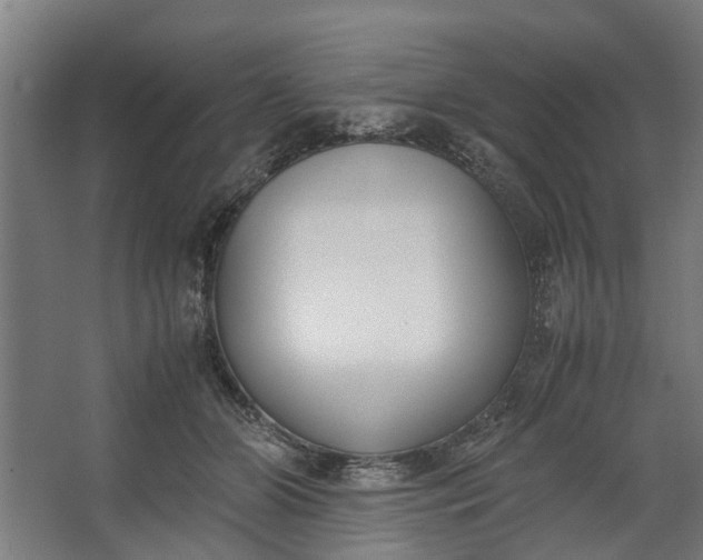 X0000062600510200601040917