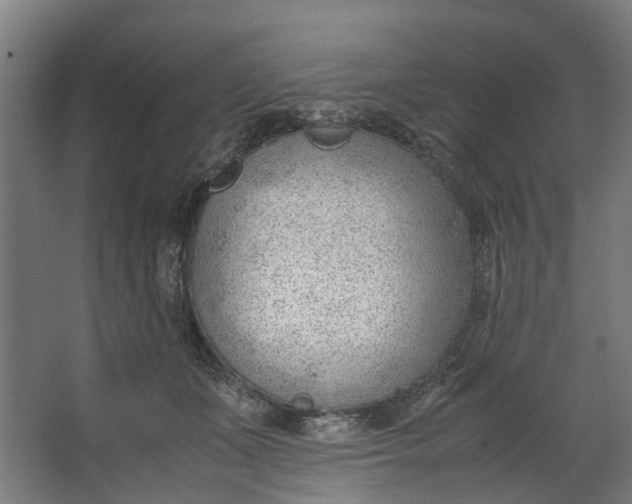 X0000062600511200601040917