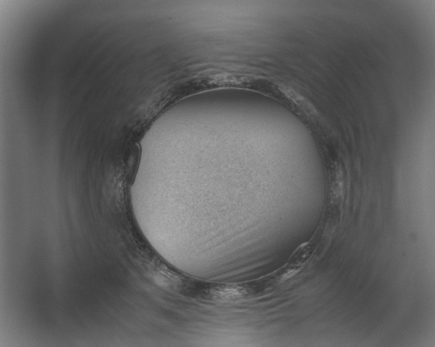 X0000062600513200601040917