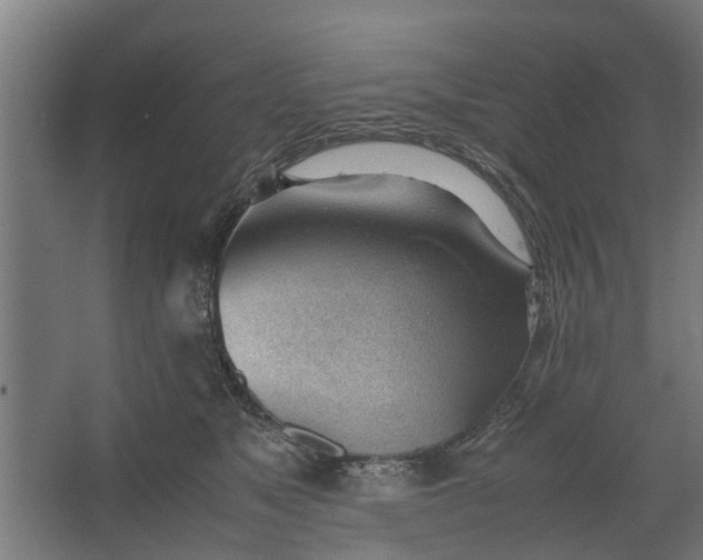 X0000062600517200601040917