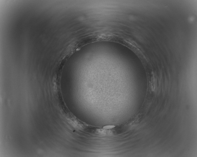 X0000062600520200601040917