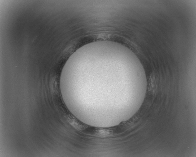 X0000062600522200601040917