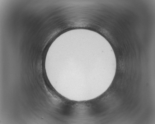 X0000062600534200601040916
