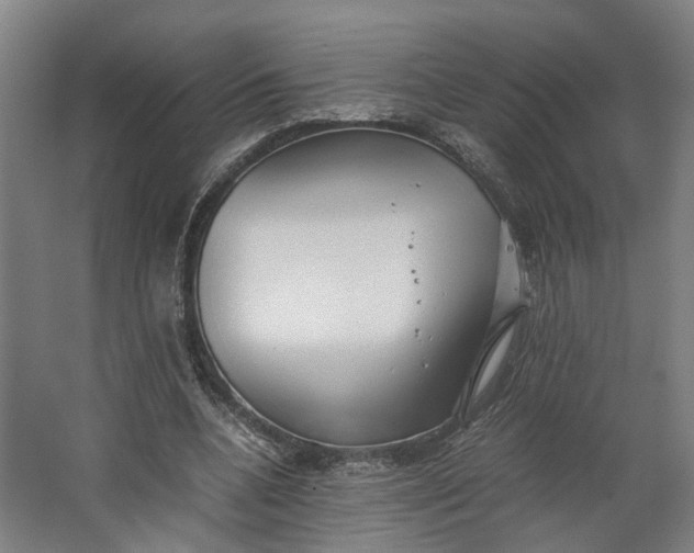 X0000062600536200601040916