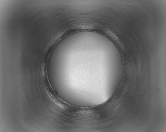 X0000062600537200601040916