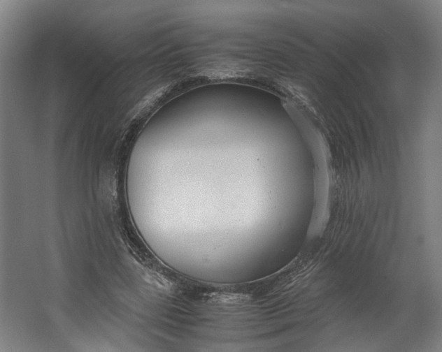 X0000062600539200601040916