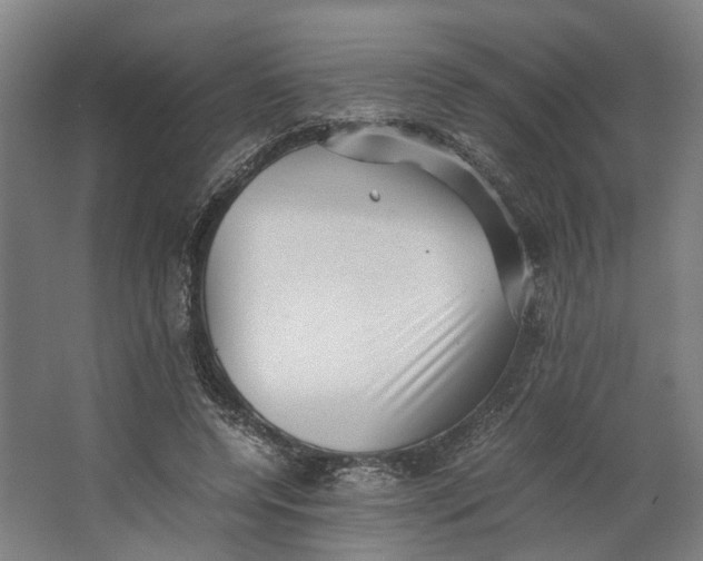X0000062600544200601040916