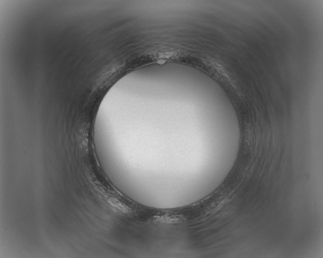 X0000062600545200601040916