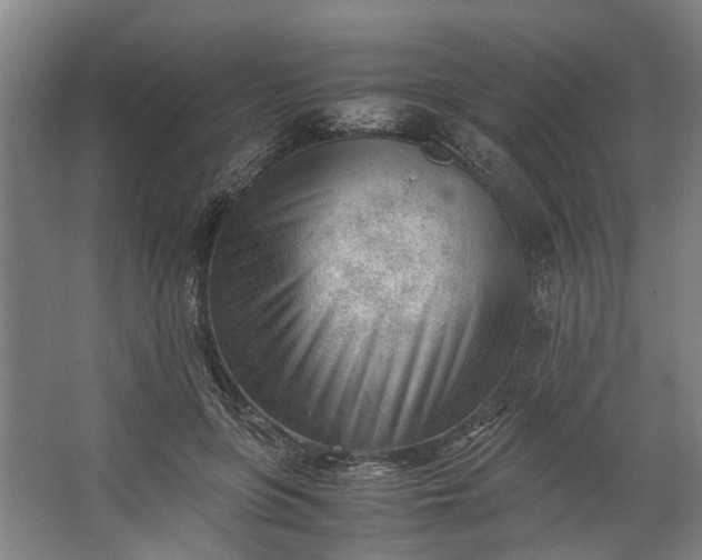 X0000062600551200601040916
