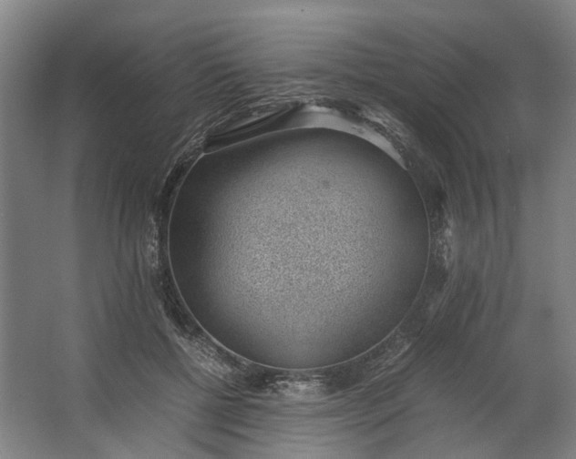 X0000062600552200601040916