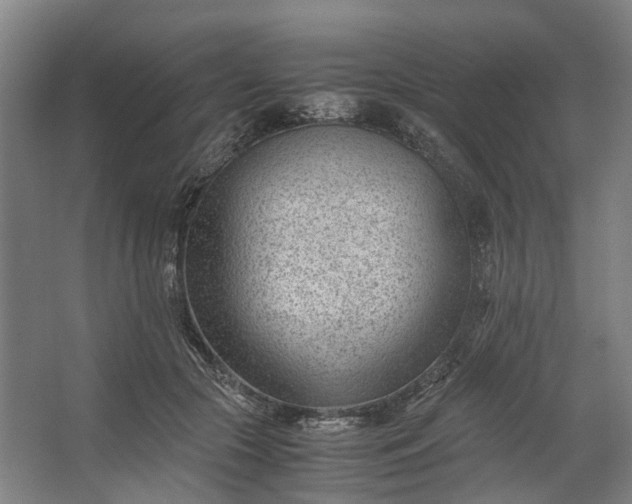 X0000062600553200601040916