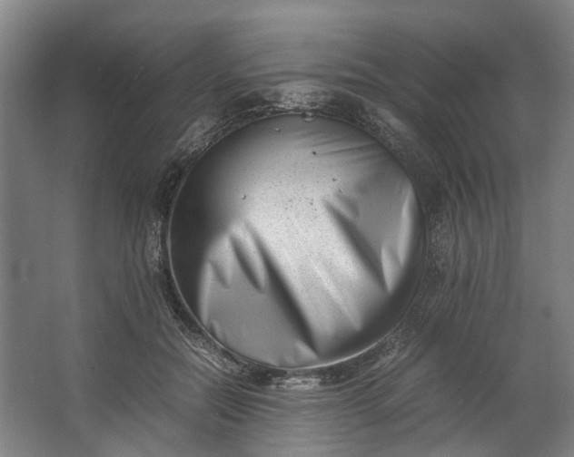 X0000062600554200601040916