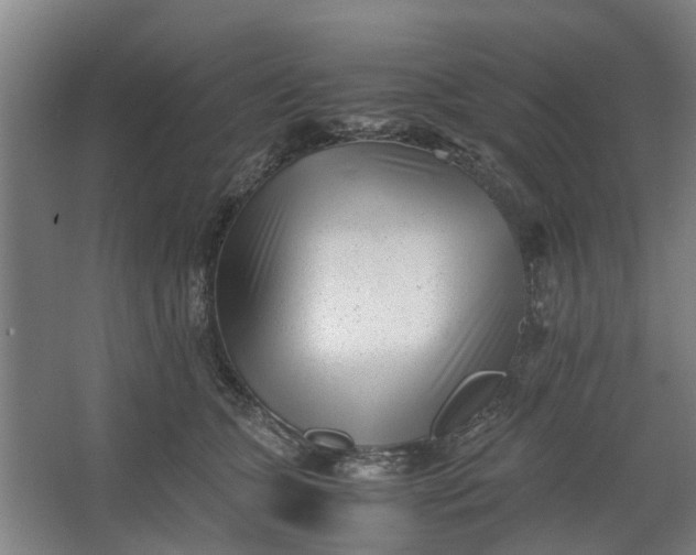 X0000062600563200601040916