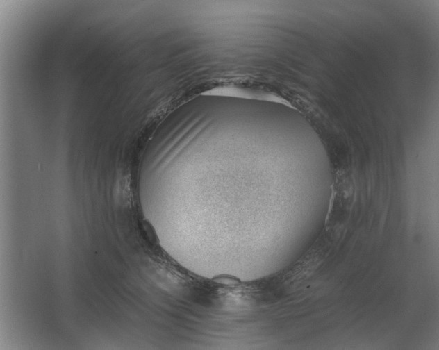 X0000062600564200601040916