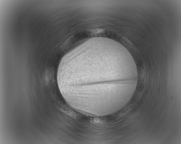 X0000062600565200601040916
