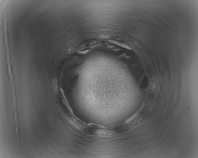 X0000062600568200601040916