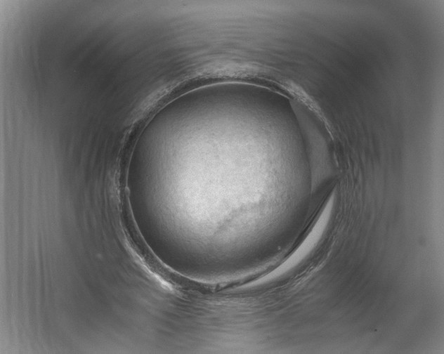 X0000062600581200601040916