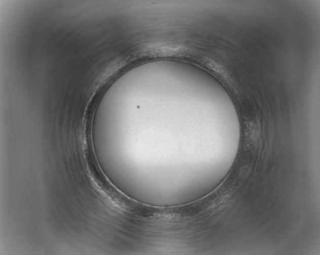 X0000062600582200601040916