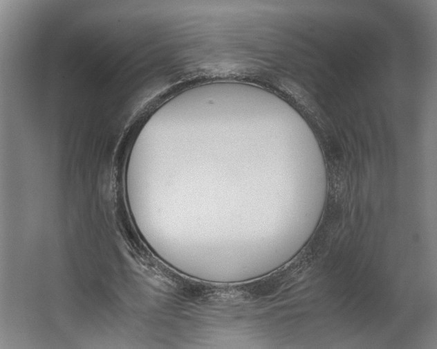 X0000062600583200601040916