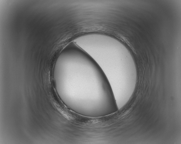 X0000062600589200601040915