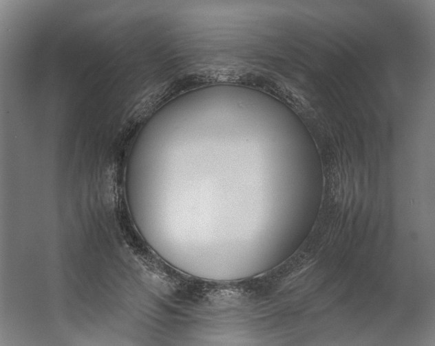 X0000062600594200601040915