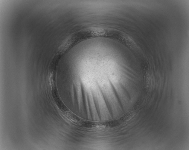 X0000062600598200601040915