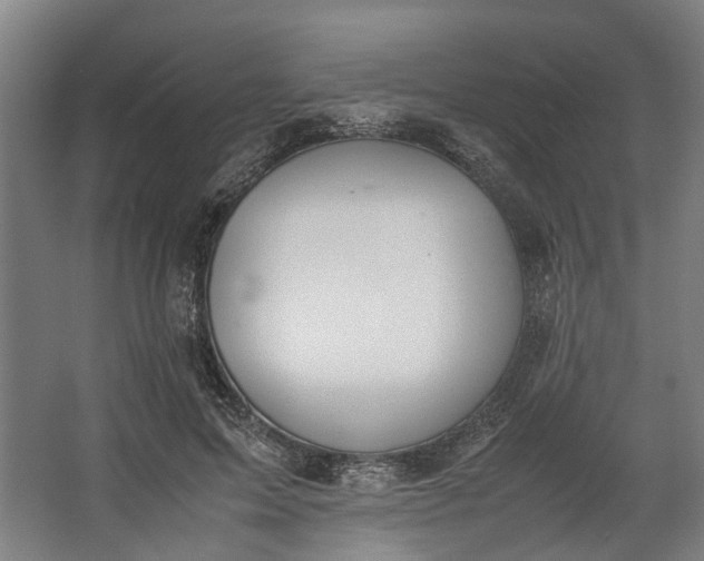 X0000062600599200601040915