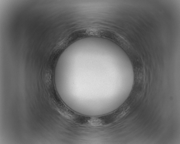 X0000062600603200601040915