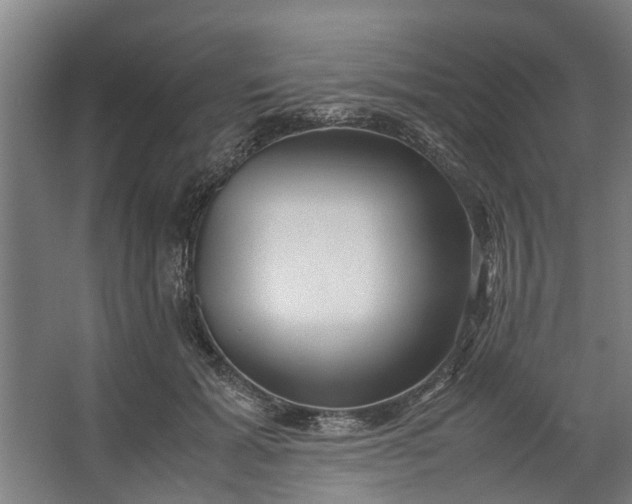 X0000062600605200601040915