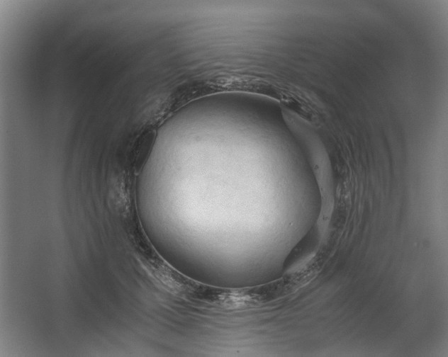X0000062600607200601040915