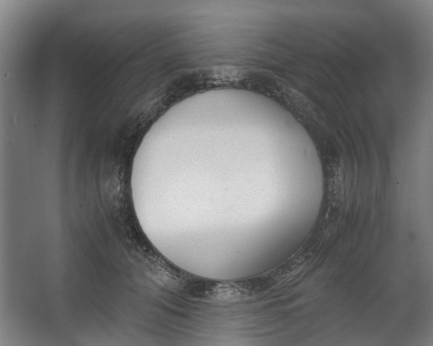 X0000062600608200601040915