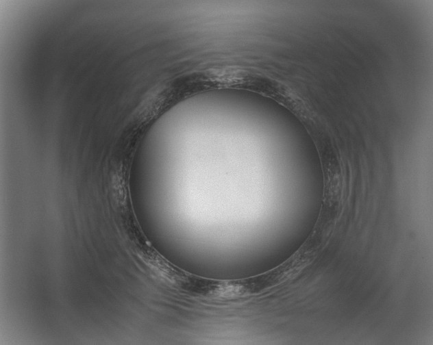 X0000062600609200601040915